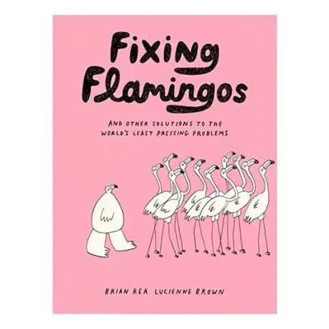 Coperta cărții Fixing Flamingos