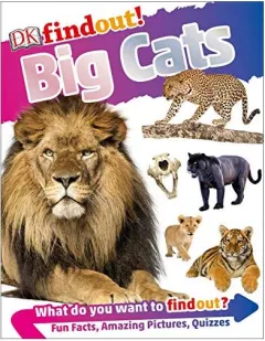 Coperta cărții DKfindout! Big Cats, DK Publishing