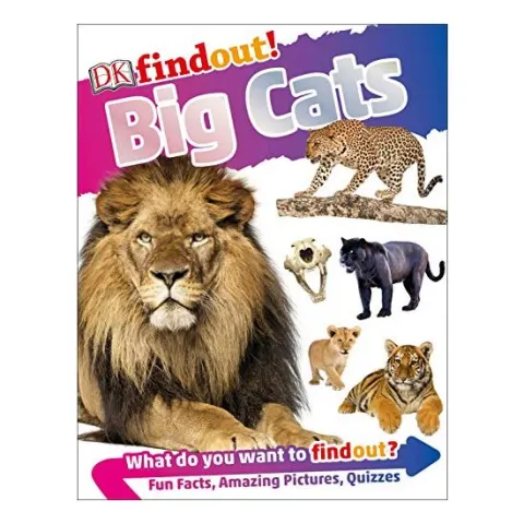 Coperta cărții DKfindout! Big Cats, DK Publishing