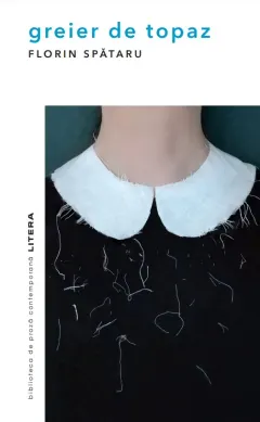 Coperta cărții Greier de topaz