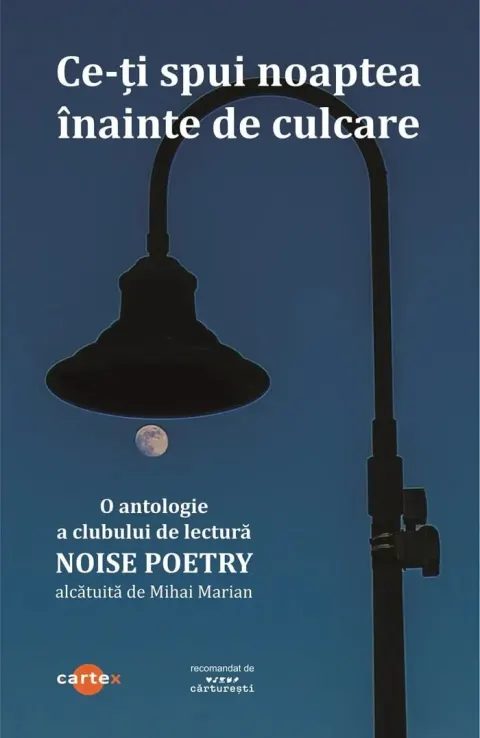 Coperta cărții Ce-ti spui noaptea inainte de culcare
