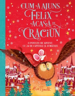 Coperta cărții Cum a ajuns Felix acasa de Craciun