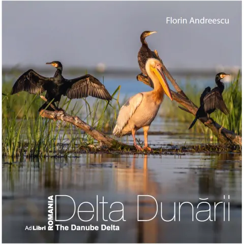 Coperta cărții Delta Dunării