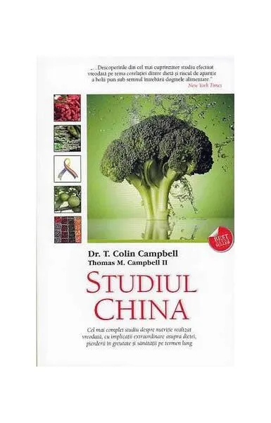 Coperta cărții Studiul China