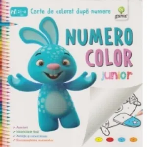 Coperta cărții NumeroColor Initiat