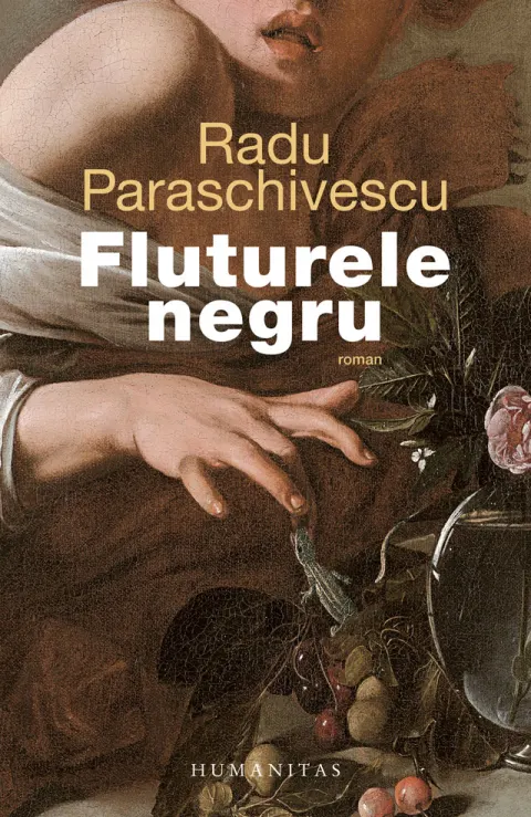 Coperta cărții Fluturele negru
