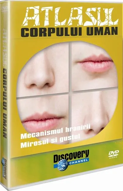 Coperta cărții Atlasul corpului uman. Mecanismul hrănirii. Gustul și mirosul