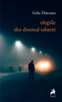 Coperta cărții Elegiile din Drumul Taberei