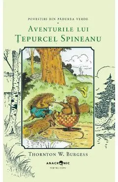 Coperta cărții Aventurile lui Tepurcel Spineanu. Seria Povestiri din Padurea Verde Vol.13