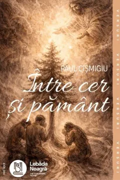 Coperta cărții Între cer și pământ