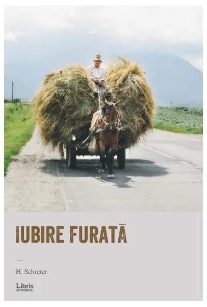 Coperta cărții Iubire furata