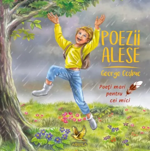 Coperta cărții Poezii alese