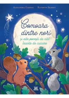 Coperta cărții Comoara dintre nori sialte povesti de cititinainte de culcare