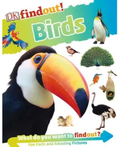 Coperta cărții Dk Findout! Birds