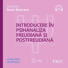 Coperta cărții Introducere în psihanaliza freudiană și postfreudiană. Ediția a patra, revizuită și completată (audiobook)