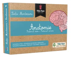 Coperta cărții Lecții Montessori. Anatomie: Sistemul osos, sistemul nervos