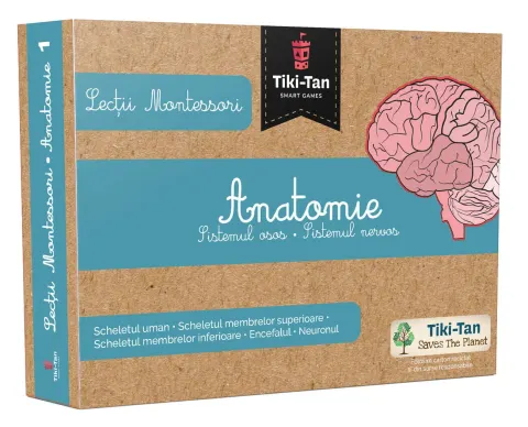 Coperta cărții Lecții Montessori. Anatomie: Sistemul osos, sistemul nervos