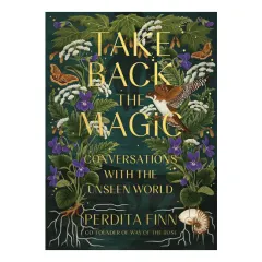 Coperta cărții Take back the magic: conversations with the unseen world