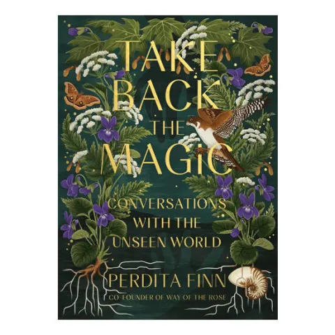 Coperta cărții Take back the magic: conversations with the unseen world