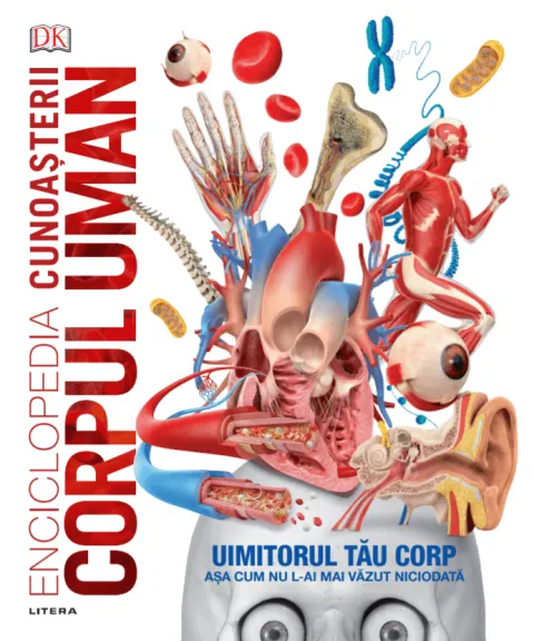 Coperta cărții Enciclopedia cunoasterii. Corpul uman |
