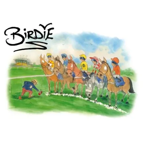 Coperta cărții Birdie: The Best of Darren Bird