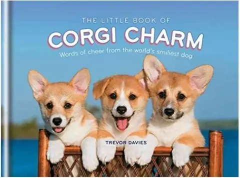 Coperta cărții Little Book of Corgi Charm