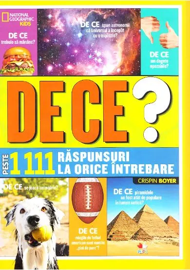 Coperta cărții De ce? Peste 1111 raspunsuri la orice intrebare