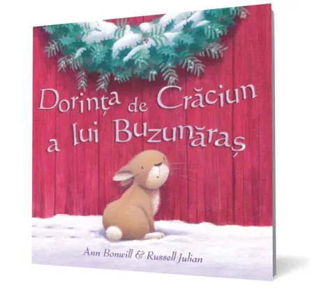 Coperta cărții Dorința de Crăciun a lui Buzunăraș