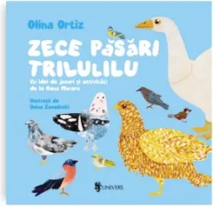 Coperta cărții Zece pasari trilulilu. Cu idei de jocuri si activitati