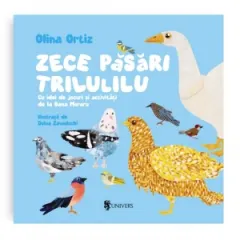 Coperta cărții Zece pasari trilulilu. Cu idei de jocuri si activitati