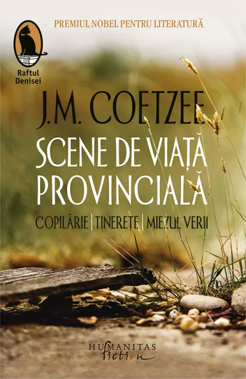 Coperta cărții Scene de viață provincială