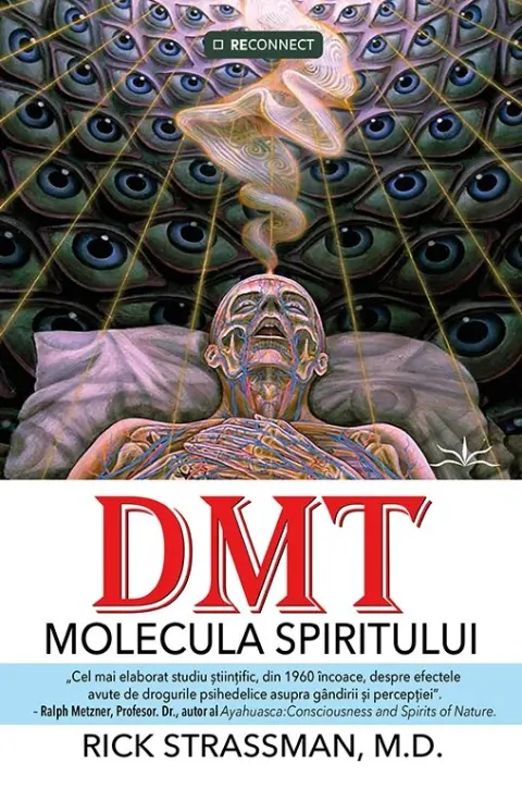 Coperta cărții DMT: Molecula spiritului