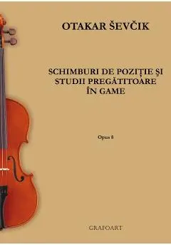 Coperta cărții Schimburi de pozitie si studii pregatitaore in game