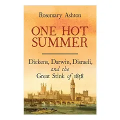 Coperta cărții One hot summer, Rosemary Ashton