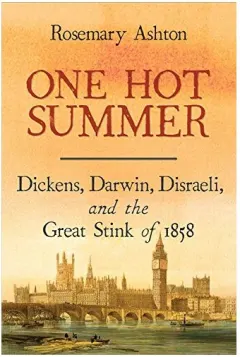 Coperta cărții One hot summer, Rosemary Ashton