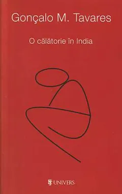 Coperta cărții O calatorie in India