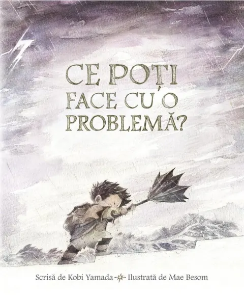 Coperta cărții Ce poți face cu o problemă?