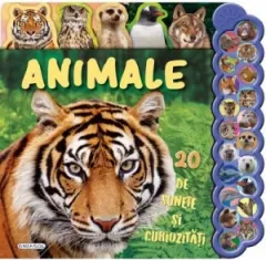 Coperta cărții 20 de sunete si curiozitati. Animale