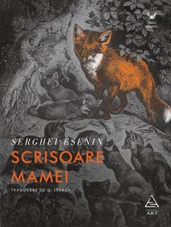 Coperta cărții Scrisoare mamei