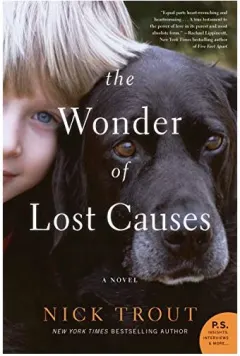 Coperta cărții The Wonder of Lost Causes