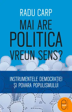 Coperta cărții Mai are politica vreun sens (ebook)