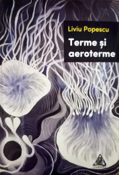 Coperta cărții Terme și aeroterme