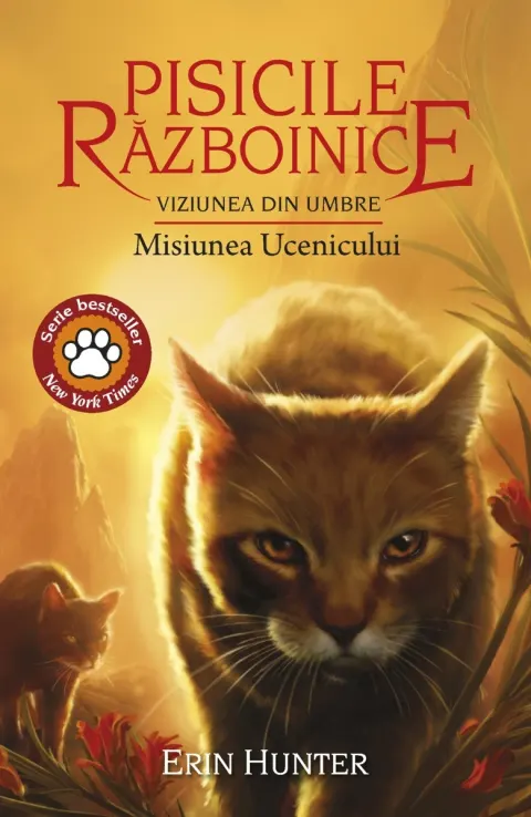 Coperta cărții Pisicile războinice (vol. 31): Viziunea din umbre. Misiunea ucenicului