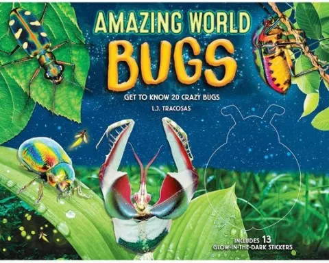 Coperta cărții Amazing World: Bugs