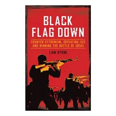Coperta cărții Black flag down