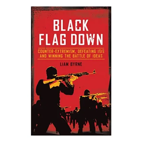 Coperta cărții Black flag down