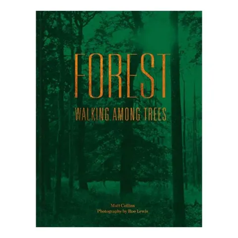 Coperta cărții Forest: Walking Among Trees, Matt Collins, Roo Lewis