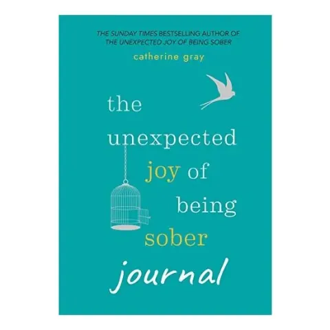 Coperta cărții Unexpected Joy of Being Sober Journal