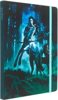 Coperta cărții Insights Harry Potter: Centaurs Softcover Notebook