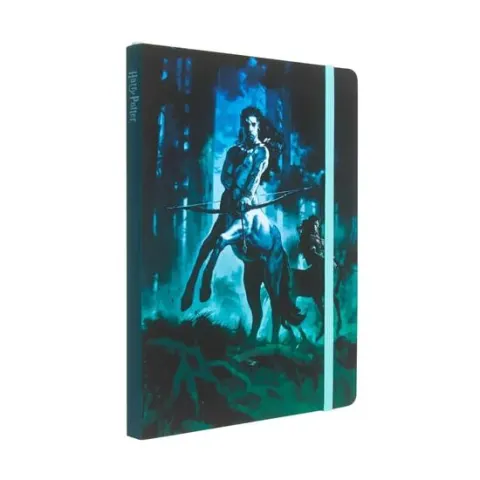 Coperta cărții Insights Harry Potter: Centaurs Softcover Notebook